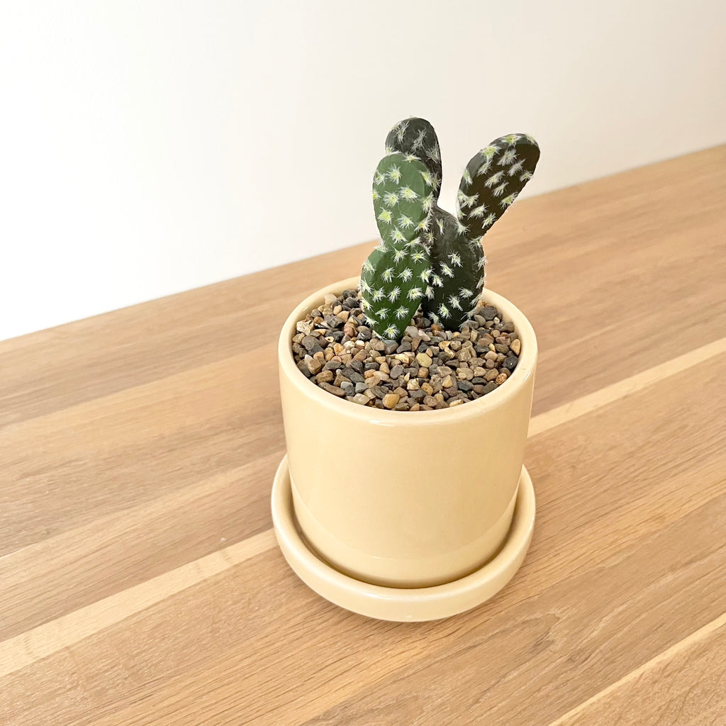 Faux cactus & pot