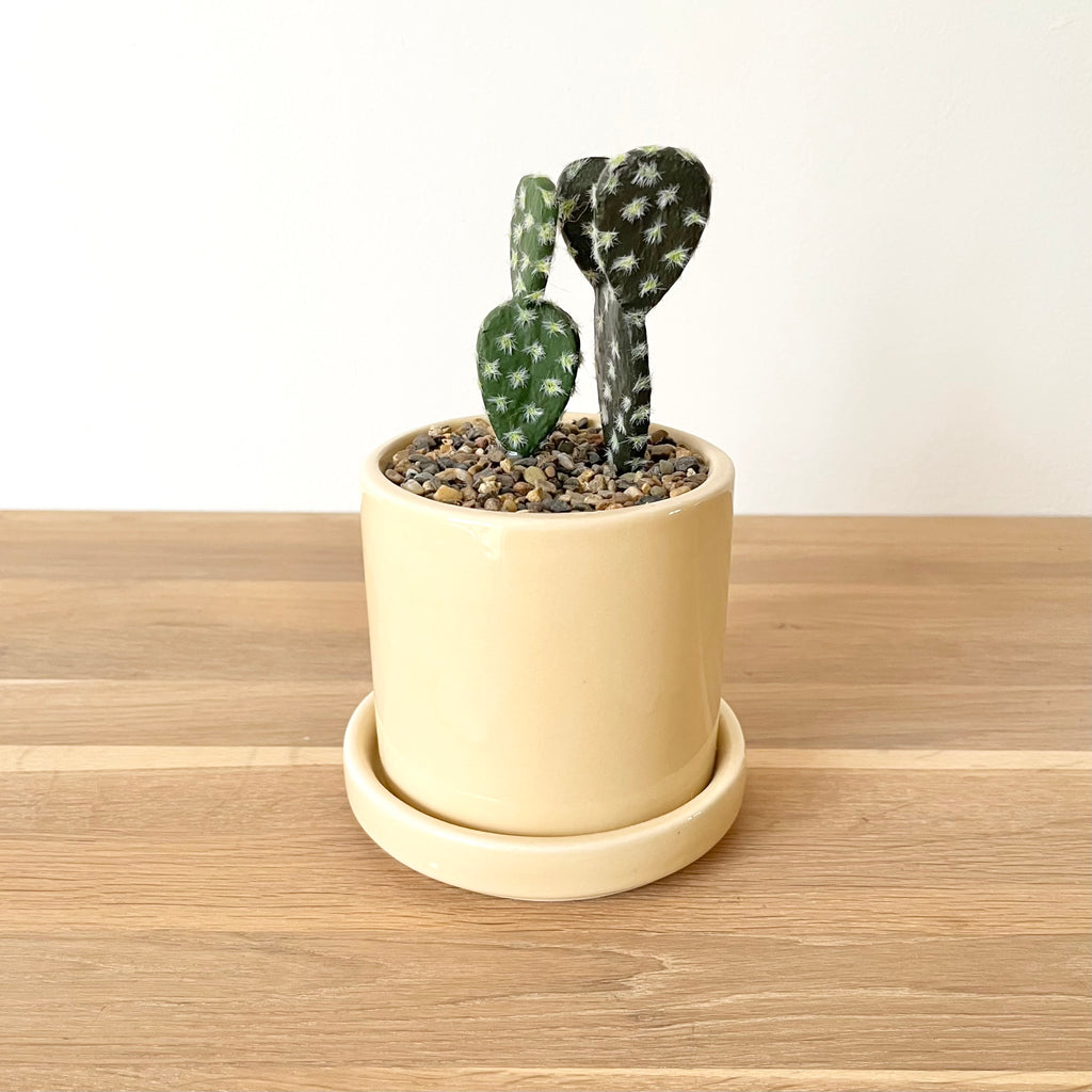Faux cactus & pot