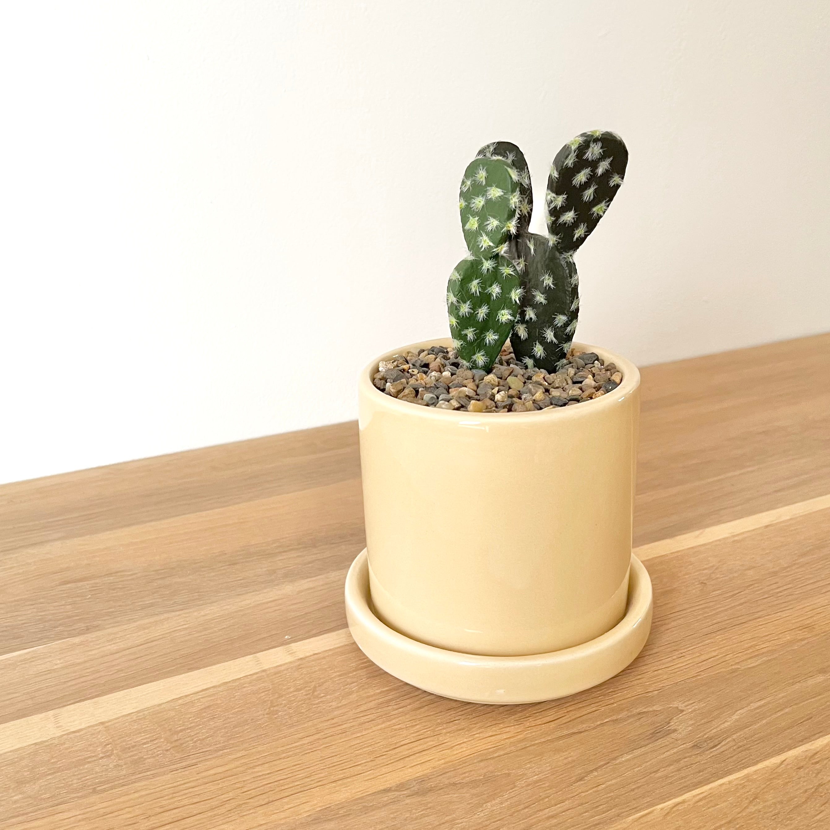 Faux cactus & pot