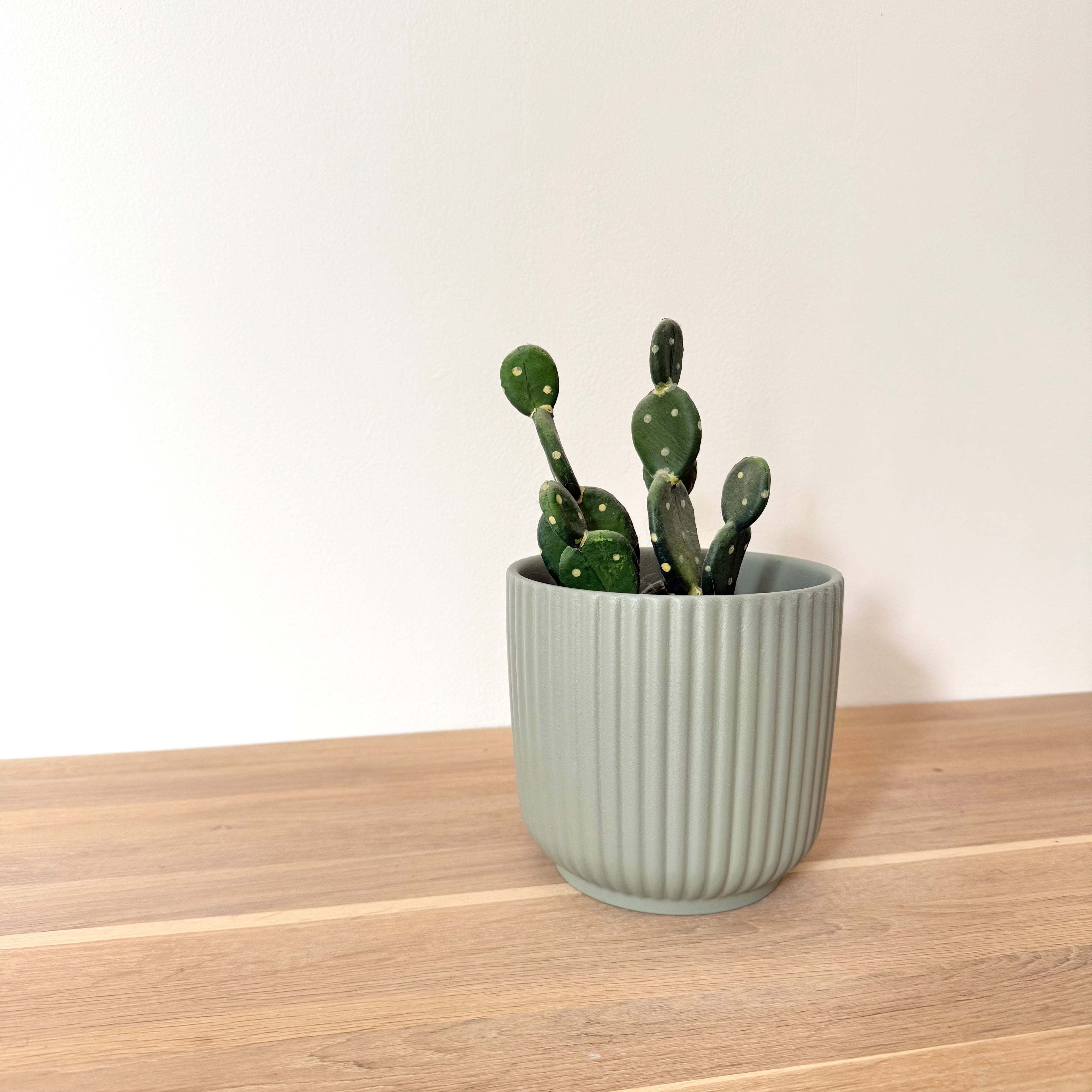 Lot Cache-pots "Alba"