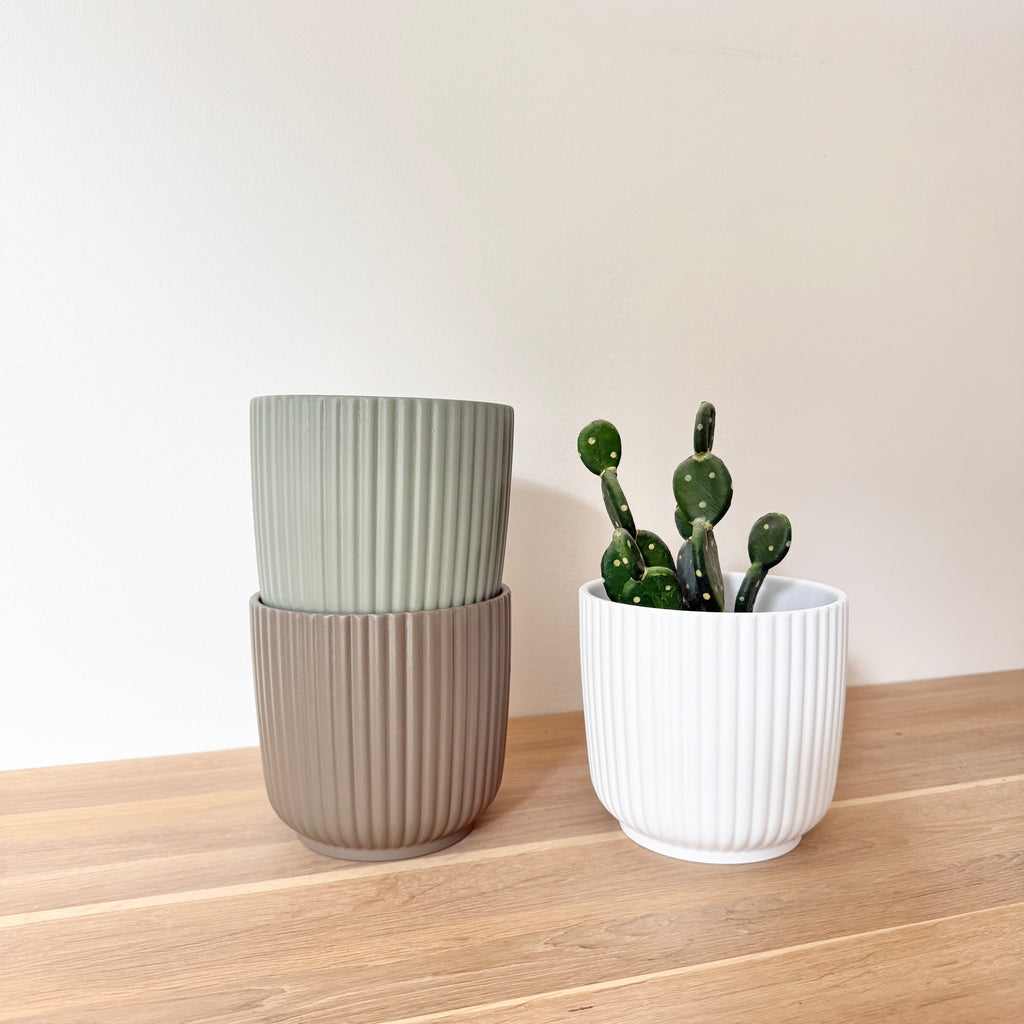 Lot Cache-pots "Alba"