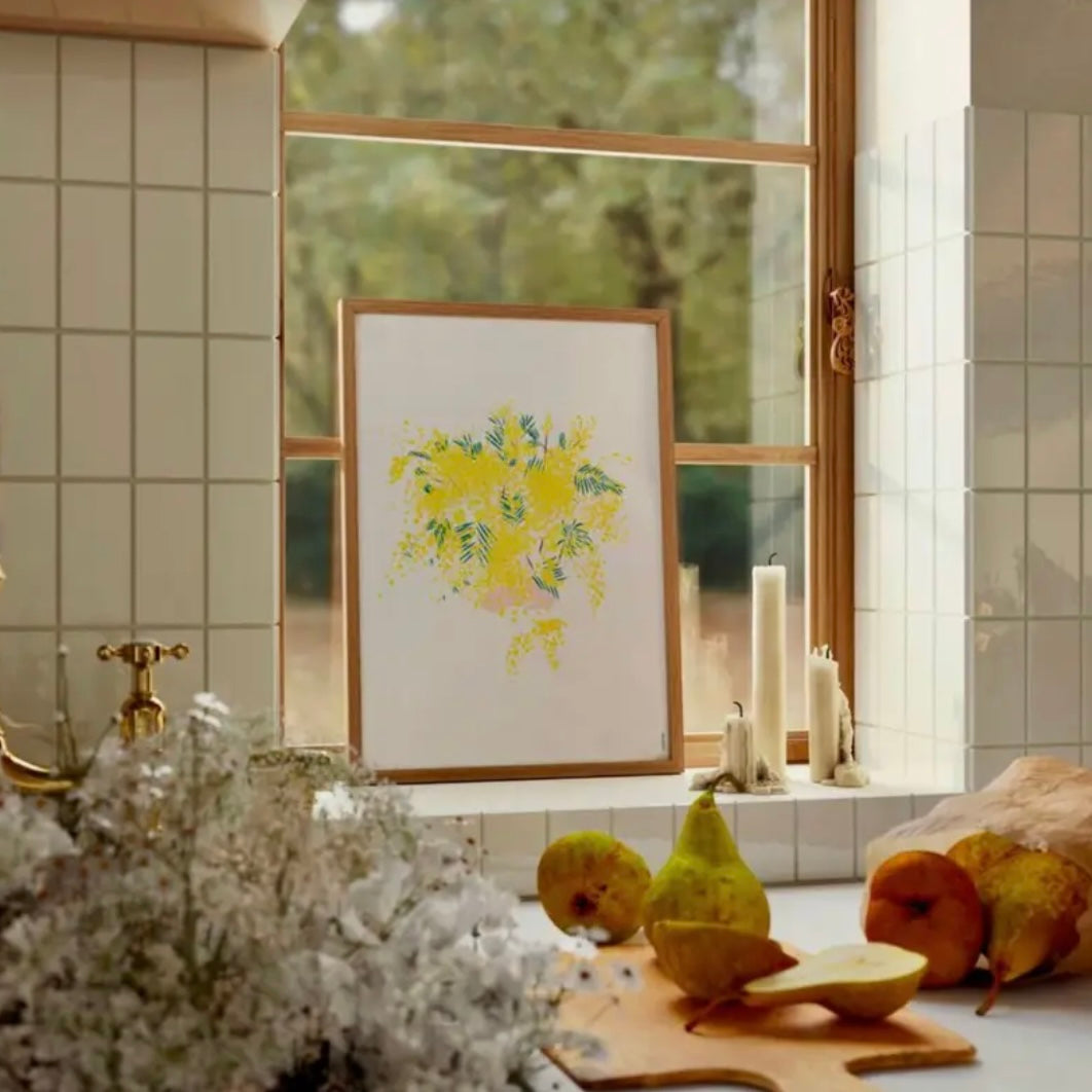 Affiche Mimosa - Papier 320g/m²