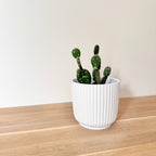 Lot Cache-pots "Alba"