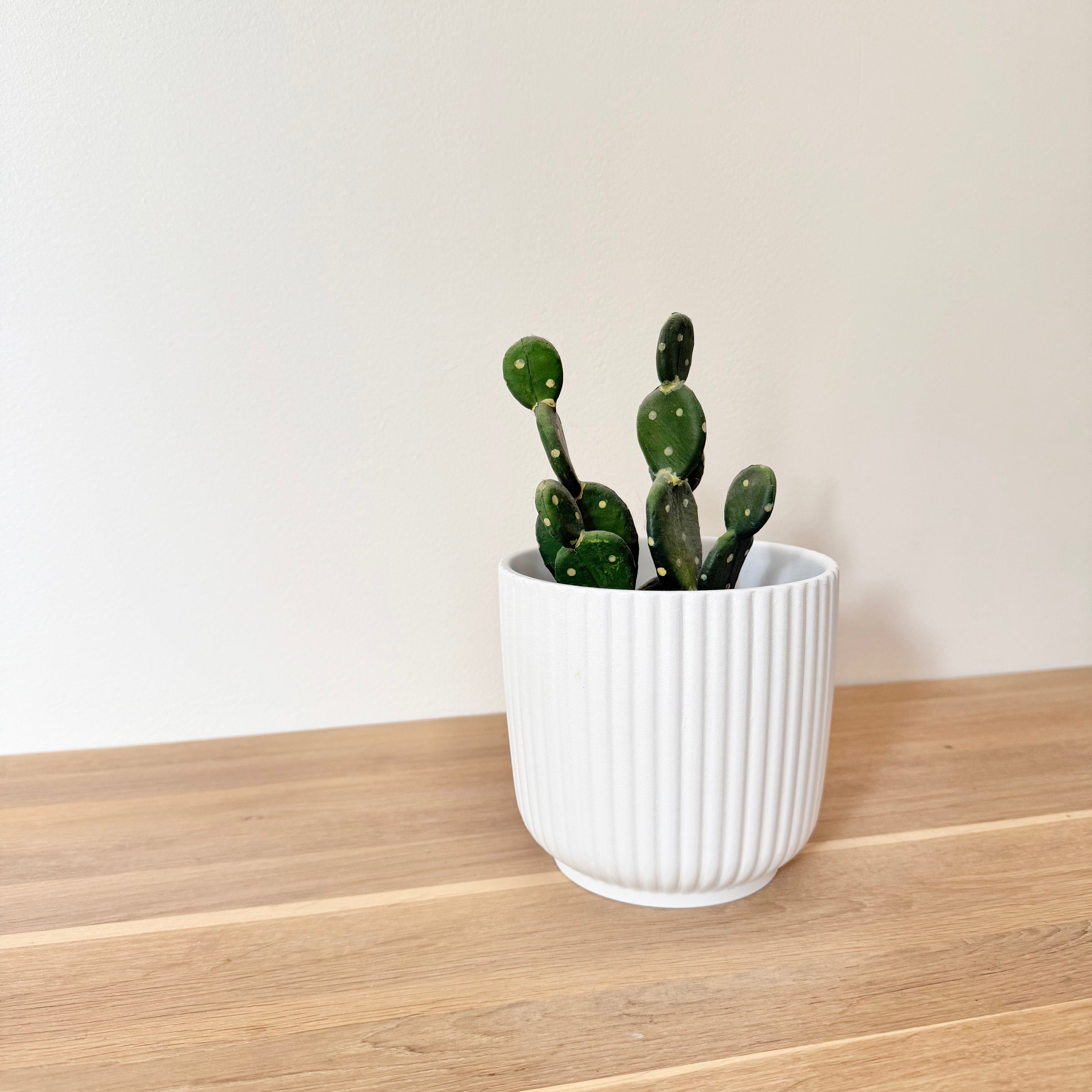 Lot Cache-pots "Alba"