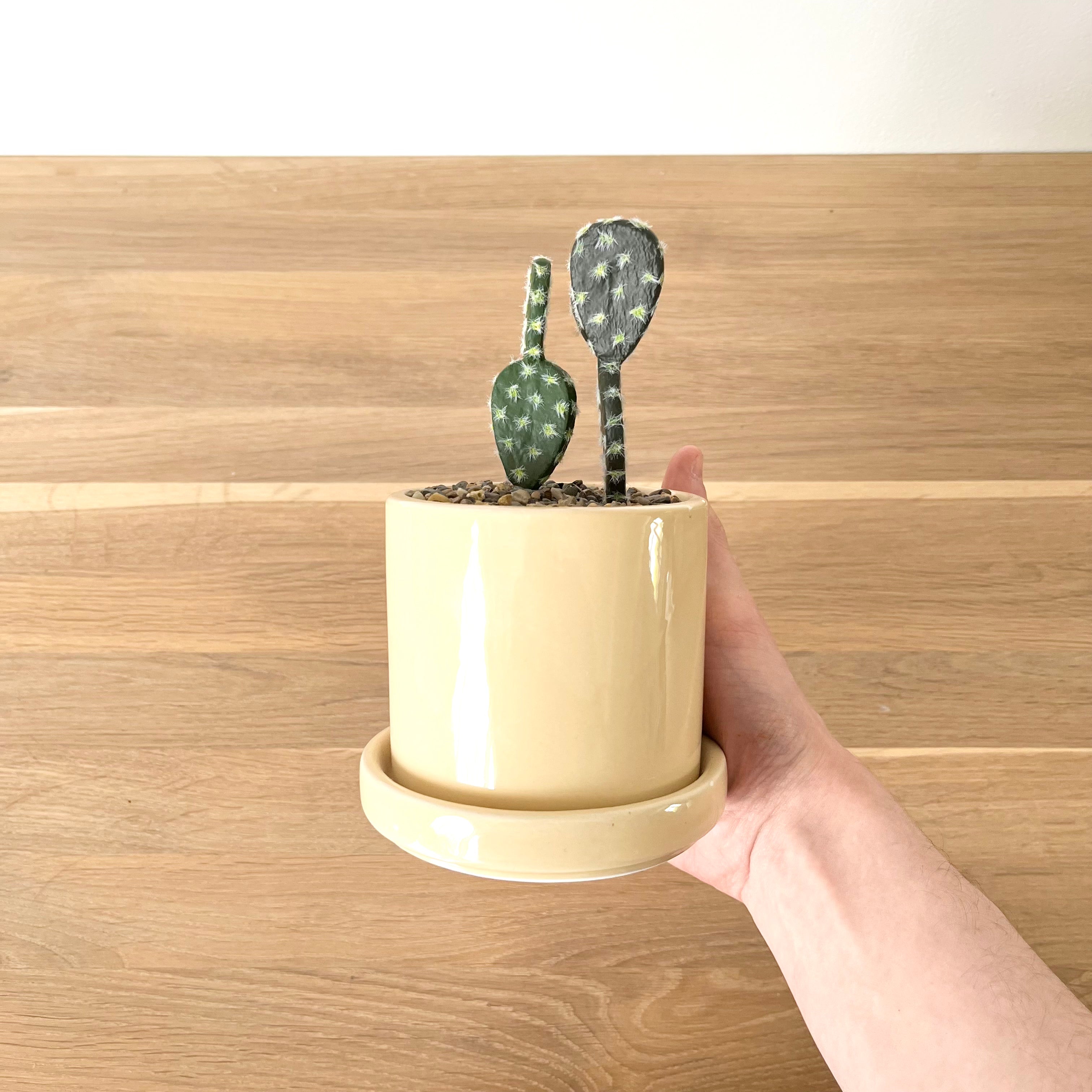Faux cactus & pot