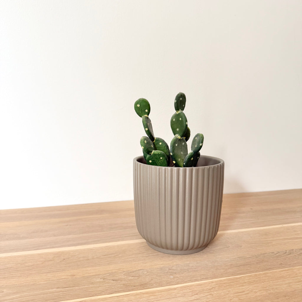 Lot Cache-pots "Alba"