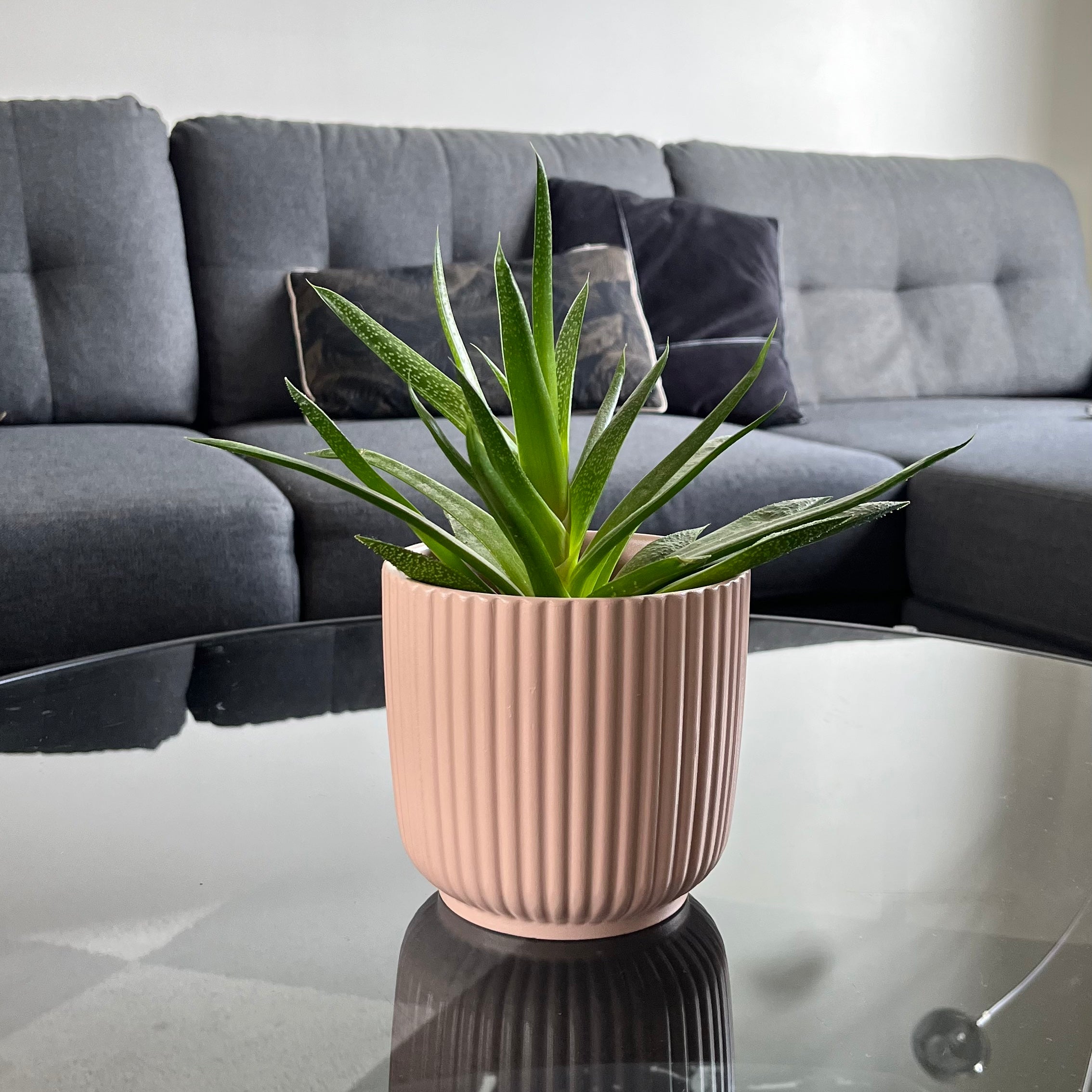 Cache-pot Alba Rose imparfait - Céramique